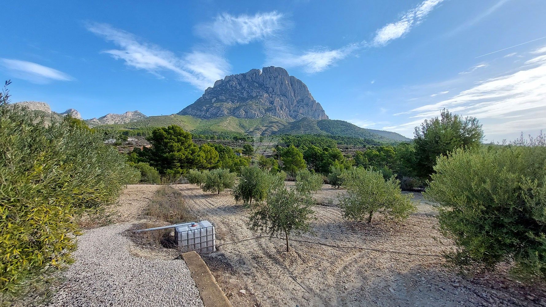 Rustic farm for sale with sea and mountain views in Finestrat, Costa Blanca.