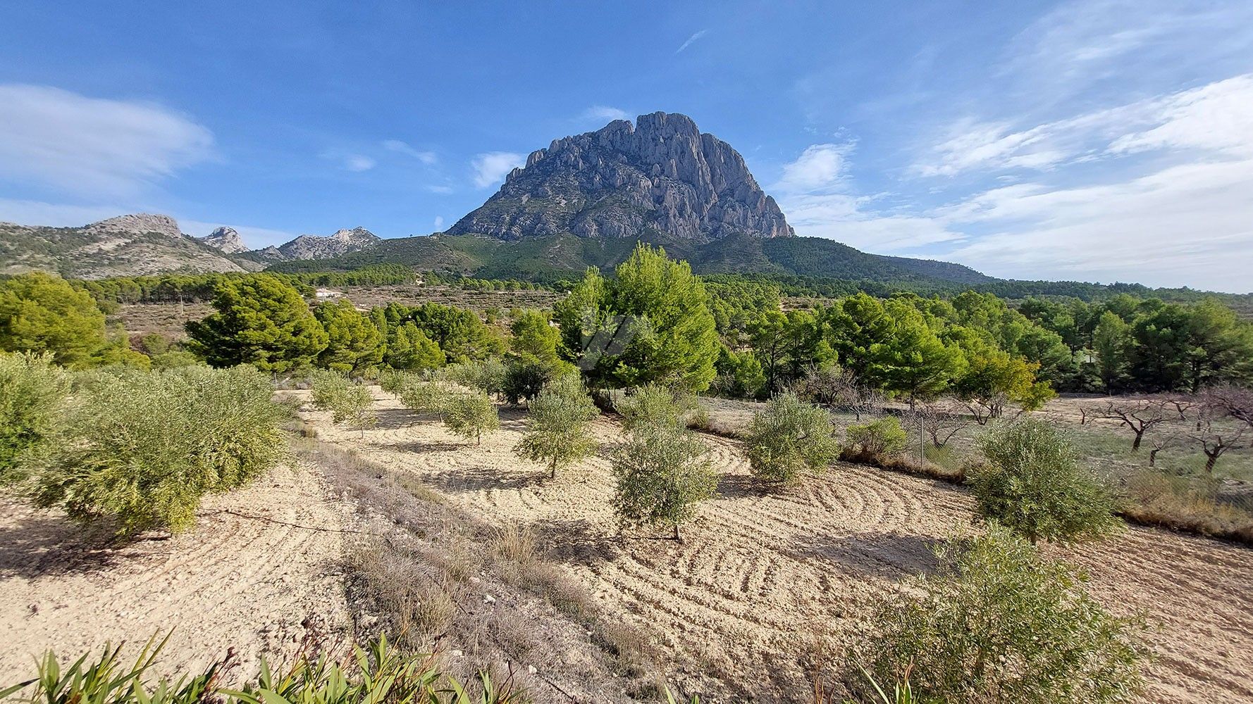 Rustic farm for sale with sea and mountain views in Finestrat, Costa Blanca.