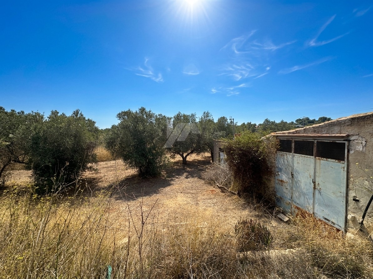 Parcelle à vendre à Teulada de 13 000 m² près de Moraira, Costa Blanca.