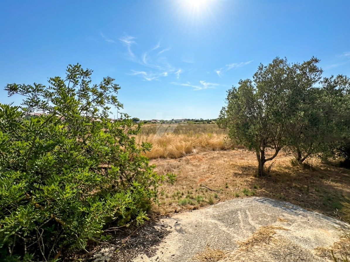 Parcelle à vendre à Teulada de 13 000 m² près de Moraira, Costa Blanca.