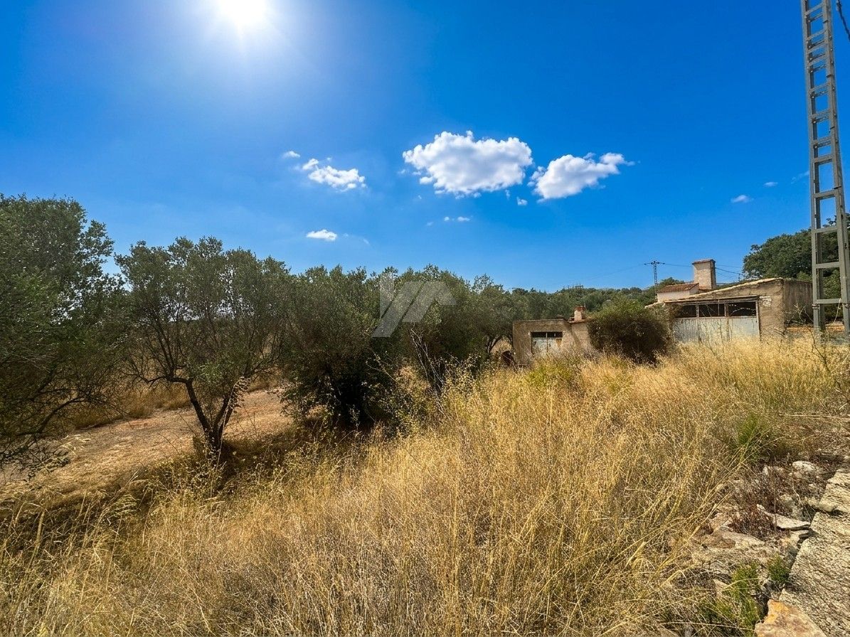 Parcelle à vendre à Teulada de 13 000 m² près de Moraira, Costa Blanca.