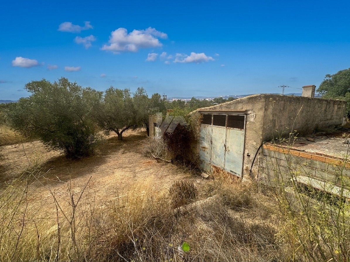 Parcelle à vendre à Teulada de 13 000 m² près de Moraira, Costa Blanca.